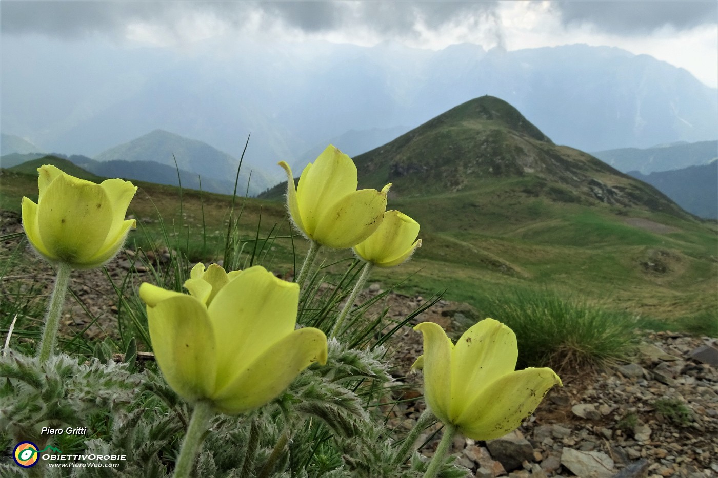 61 Scendendo dalla Bocchetta Triomen al Monte Avaro.JPG
